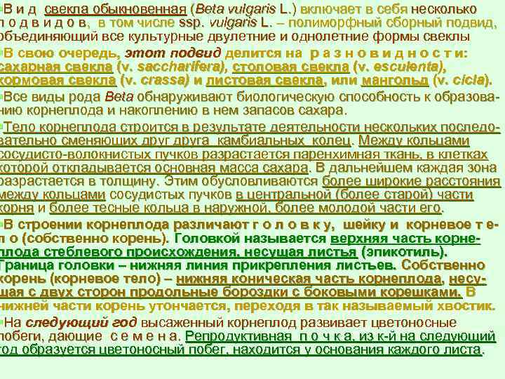 §В и д свекла обыкновенная (Beta vulgaris L. ) включает в себя несколько п