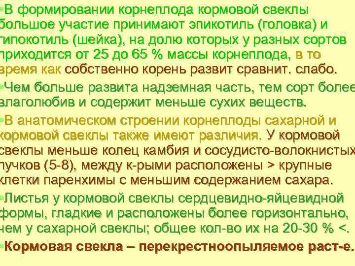 §В формировании корнеплода кормовой свеклы большое участие принимают эпикотиль (головка) и гипокотиль (шейка), на