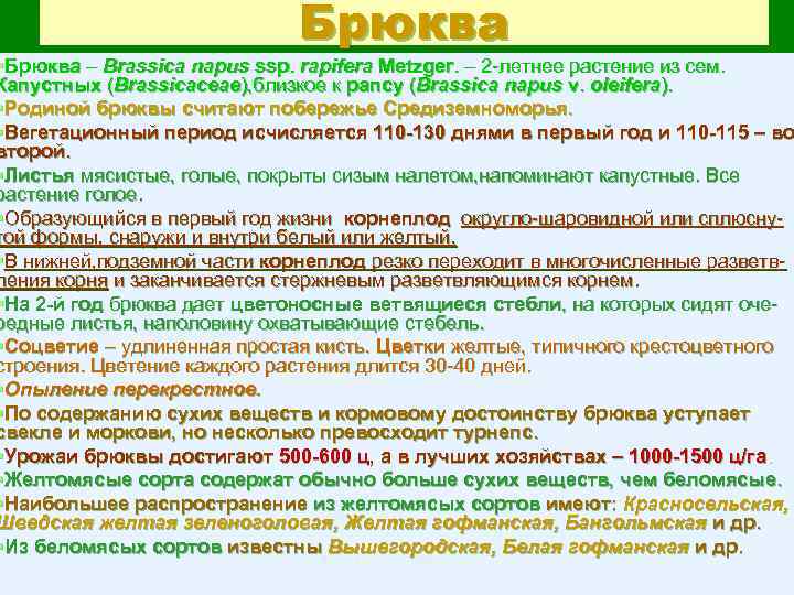 Брюква §Брюква – Brassica napus ssp. rapifera Metzger. – 2 летнее растение из сем.