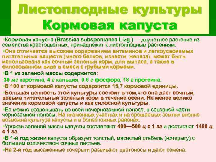Листоплодные культуры Кормовая капуста §Кормовая капуста (Brassica subspontanea Lizg. ) — двулетнее растение из
