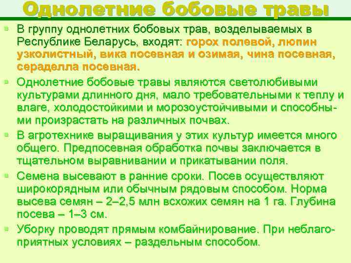 Однолетние бобовые травы § В группу однолетних бобовых трав, возделываемых в Республике Беларусь, входят: