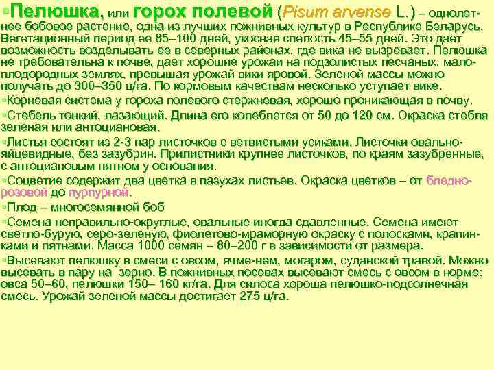 §Пелюшка, или горох полевой (Pisum arvense L. ) – однолет нее бобовое растение, одна