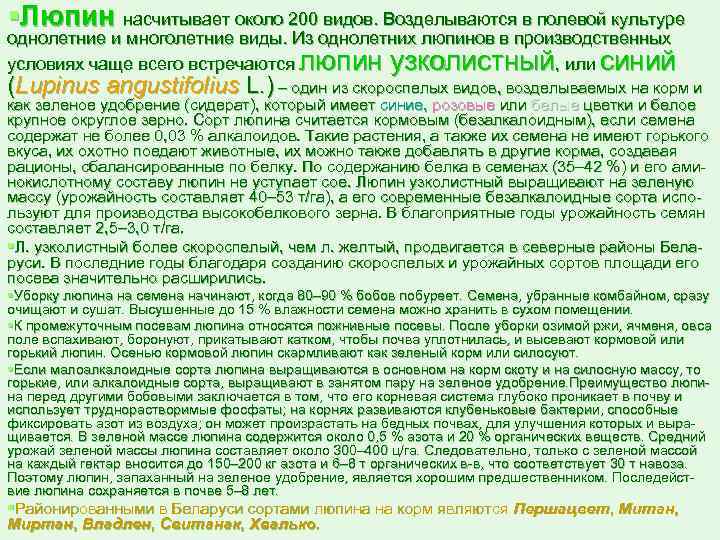 §Люпин насчитывает около 200 видов. Возделываются в полевой культуре однолетние и многолетние виды. Из