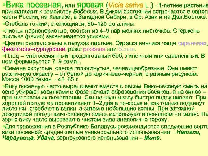 §Вика посевная, или яровая (Vicia sativa L. ) – 1 летнее растение принадлежит к