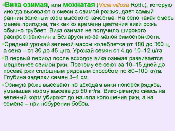 §Вика озимая, или мохнатая (Vicia villosa Roth. ), которую иногда высевают в смеси с