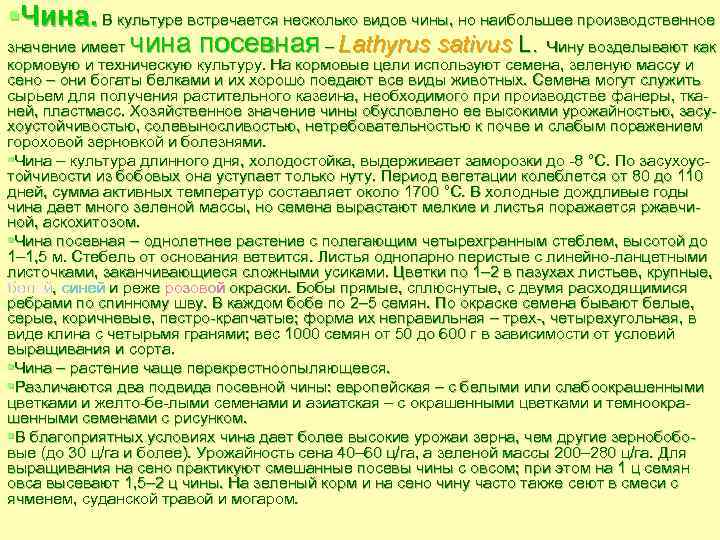 §Чина. В культуре встречается несколько видов чины, но наибольшее производственное значение имеет чина посевная