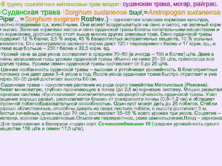 §В группу однолетних мятликовых трав входят: суданская трава, могар, райграс. §Суданская трава (Sorghum sudanense
