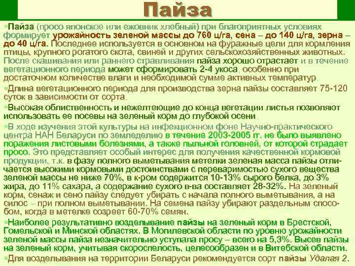 Пайза §Пайза (просо японское или ежовник хлебный) при благоприятных условиях формирует урожайность зеленой массы