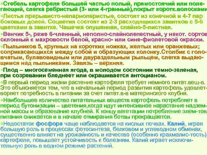 §Стебель картофеля большей частью полый, прямостоячий или поле гающий, слегка ребристый (3 или 4