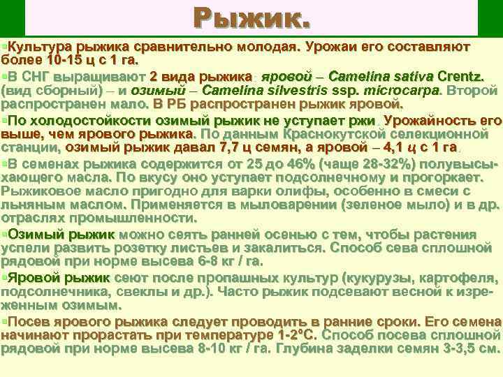 Рыжик. §Культура рыжика сравнительно молодая. Урожаи его составляют более 10 15 ц с 1