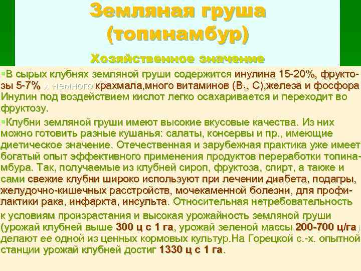 Земляная груша (топинамбур) Хозяйственное значение §В сырых клубнях земляной груши содержится инулина 15 20%,