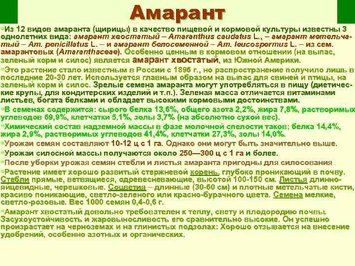 Амарант §Из 12 видов амаранта (щирицы) в качество пищевой и кормовой культуры известны 3