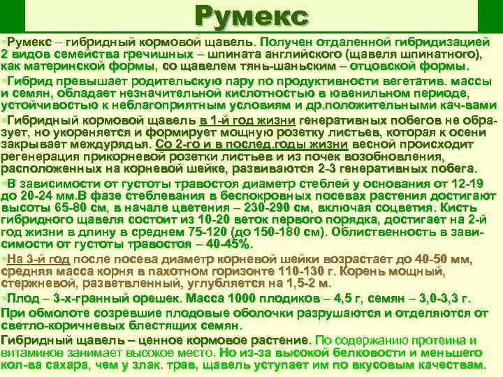 Румекс §Румекс – гибридный кормовой щавель. Получен отдаленной гибридизацией 2 видов семейства гречишных –