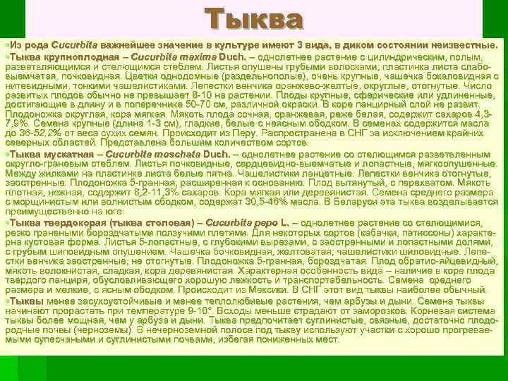 Тыква §Из рода Cucurbita важнейшее значение в культуре имеют 3 вида, в диком состоянии