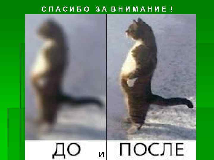 СПАСИБО ЗА ВНИМАНИЕ ! и 