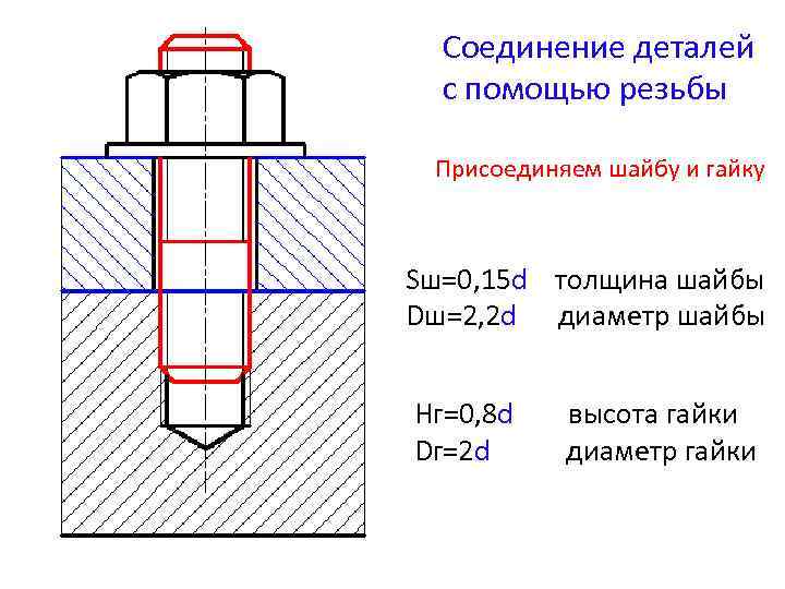 Соединение деталей с помощью резьбы Присоединяем шайбу и гайку Sш=0, 15 d толщина шайбы