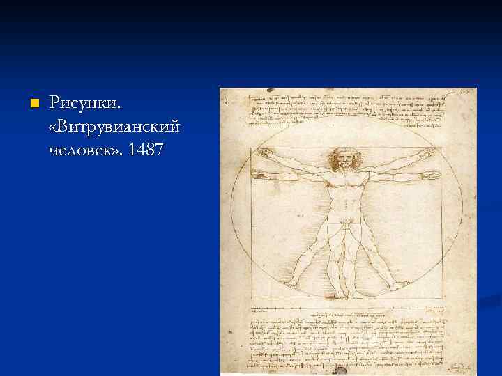 n Рисунки. «Витрувианский человек» . 1487 