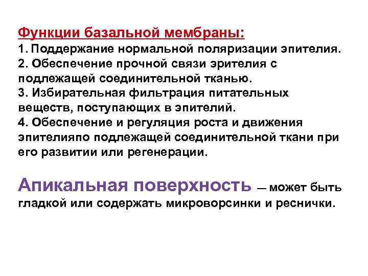 Функции базальной мембраны: 1. Поддержание нормальной поляризации эпителия. 2. Обеспечение прочной связи эрителия с