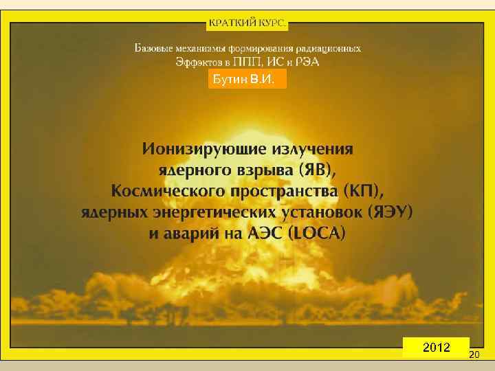 Бутин В. И. 2012 20 