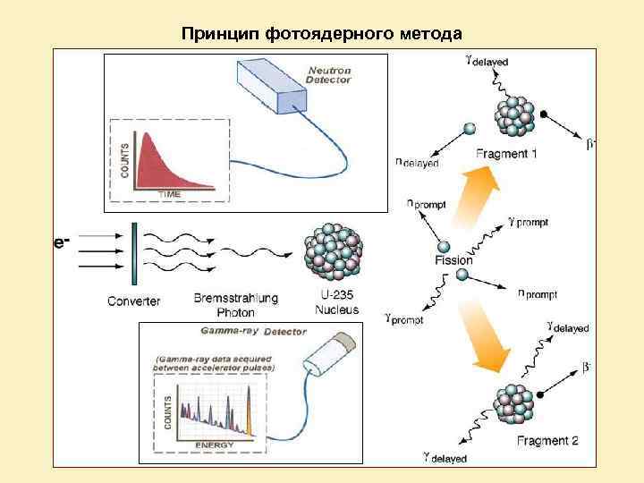 Принцип фотоядерного метода 