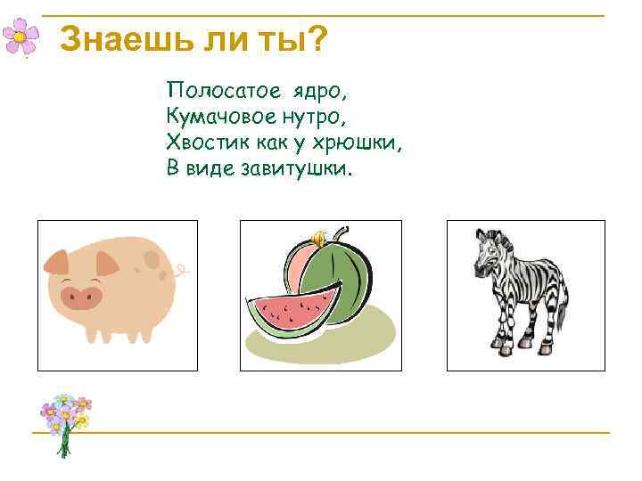 Знаешь ли ты? Полосатое ядро, Кумачовое нутро, Хвостик как у хрюшки, В виде завитушки.