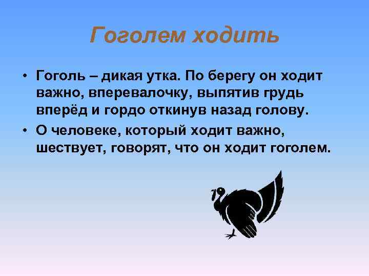 Гоголем ходить • Гоголь – дикая утка. По берегу он ходит важно, вперевалочку, выпятив