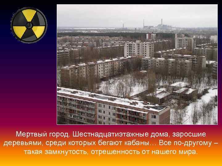 Мертвый город. Шестнадцатиэтажные дома, заросшие деревьями, среди которых бегают кабаны… Все по-другому – такая