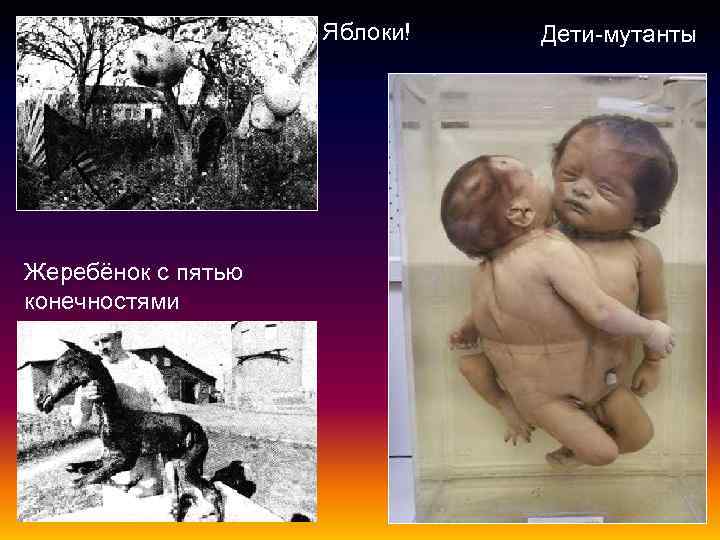 Яблоки! Жеребёнок с пятью конечностями Дети-мутанты 