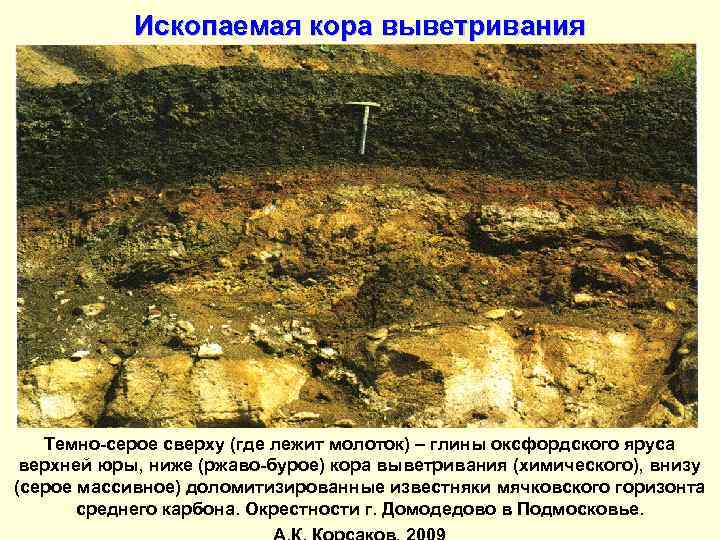 Ископаемая кора выветривания Темно-серое сверху (где лежит молоток) – глины оксфордского яруса верхней юры,