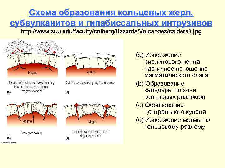 Схема образования кольцевых жерл, субвулканитов и гипабиссальных интрузивов http: //www. suu. edu/faculty/colberg/Hazards/Volcanoes/caldera 3. jpg