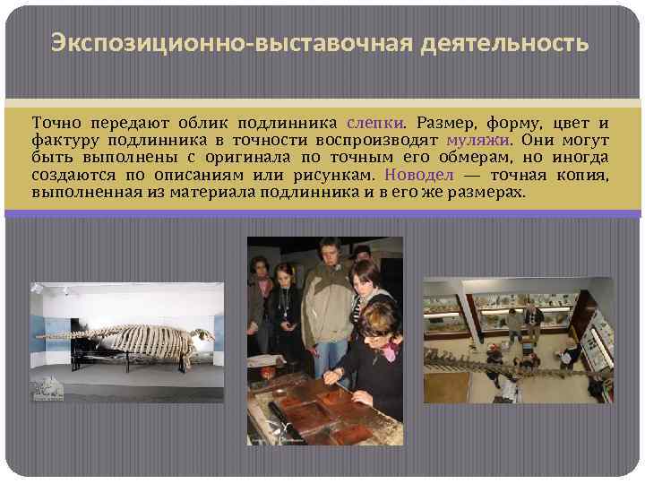 Экспозиционно-выставочная деятельность Точно передают облик подлинника слепки. Размер, форму, цвет и фактуру подлинника в
