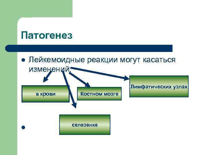 Патогенез l Лейкемоидные реакции могут касаться изменений: Лимфатических узлах в крови l Костном мозге