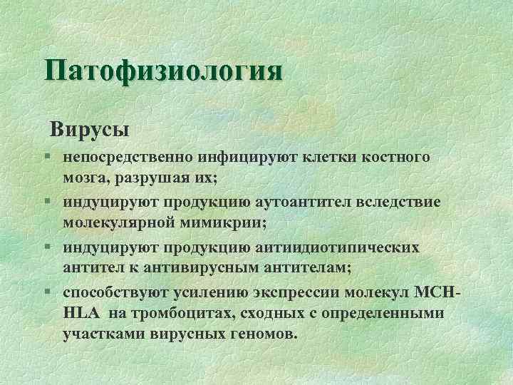 Патофизиология Вирусы § непосредственно инфицируют клетки костного мозга, разрушая их; § индуцируют продукцию аутоантител
