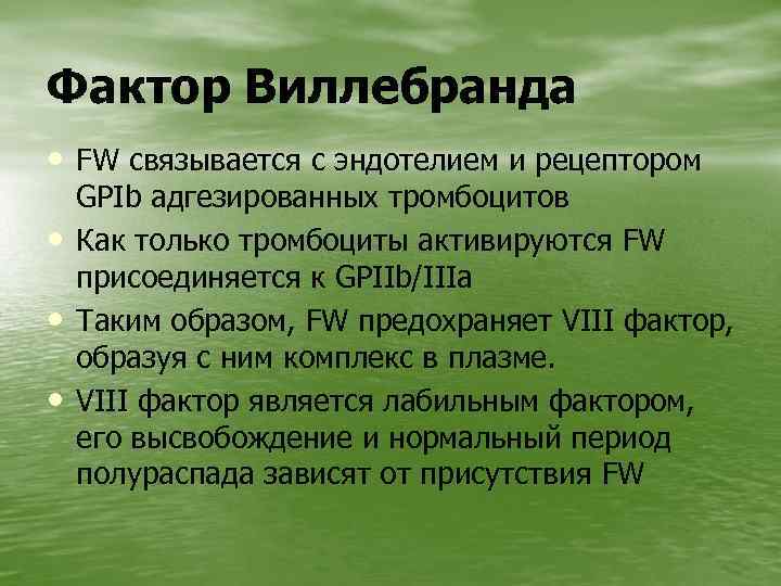 Фактор Виллебранда • FW связывается с эндотелием и рецептором • • • GPIb адгезированных