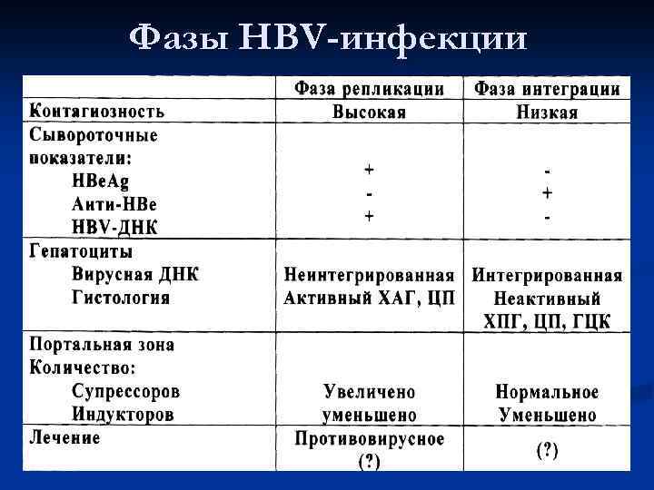 Фазы HBV-инфекции 