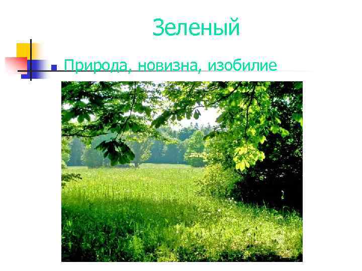  Зеленый n Природа, новизна, изобилие 