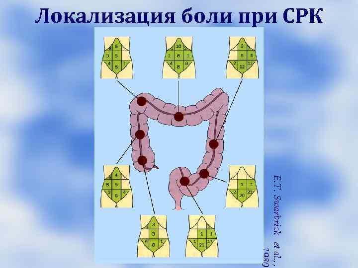 Отличия органической от функциональной хронической диареи Длительность не более 24 мес. Отличия органической от функциональной хронической диареи Длительность не более 24 мес.