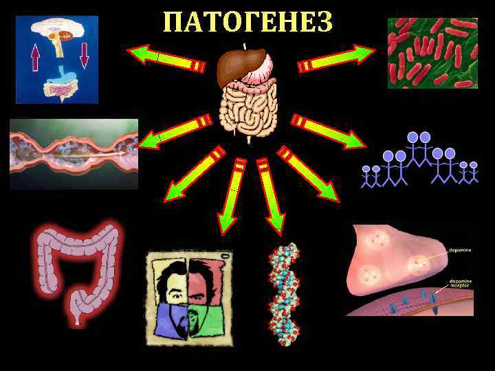 ПАТОГЕНЕЗ ПАТОГЕНЕЗ