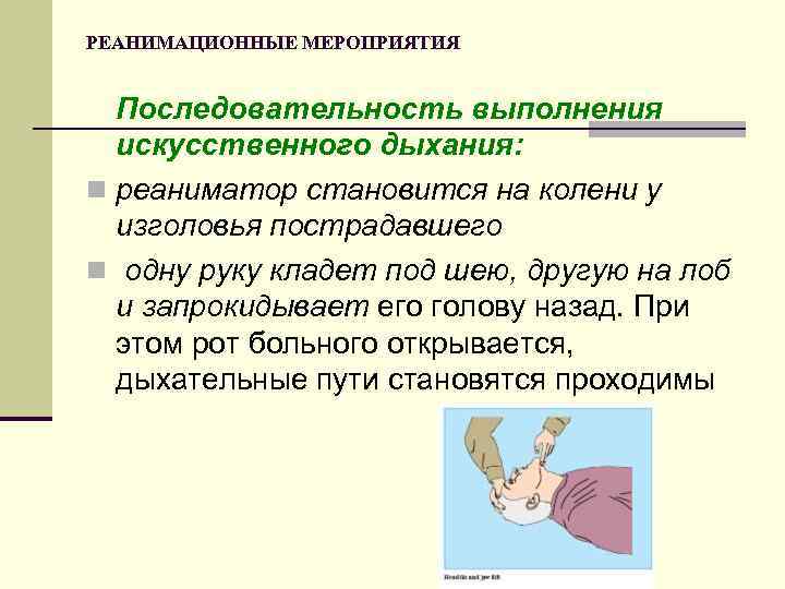 РЕАНИМАЦИОННЫЕ МЕРОПРИЯТИЯ Последовательность выполнения искусственного дыхания: n реаниматор становится на колени у изголовья пострадавшего