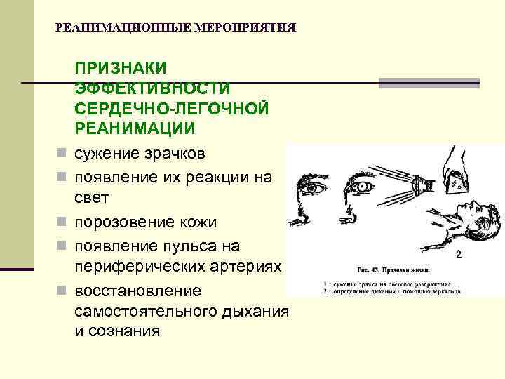 Признаки сердечно легочной реанимации