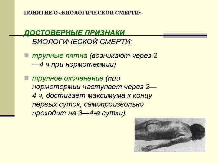 ПОНЯТИЕ О «БИОЛОГИЧЕСКОЙ СМЕРТИ» ДОСТОВЕРНЫЕ ПРИЗНАКИ БИОЛОГИЧЕСКОЙ СМЕРТИ: n трупные пятна (возникают через 2