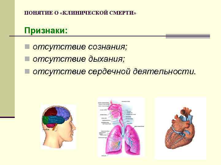 ПОНЯТИЕ О «КЛИНИЧЕСКОЙ СМЕРТИ» Признаки: n отсутствие сознания; n отсутствие дыхания; n отсутствие сердечной