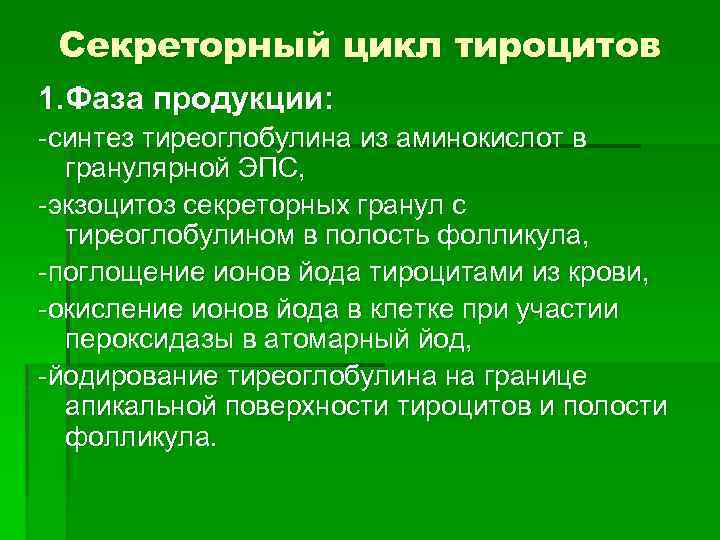 Секреторный цикл фолликулярного тироцита схема по гистологии