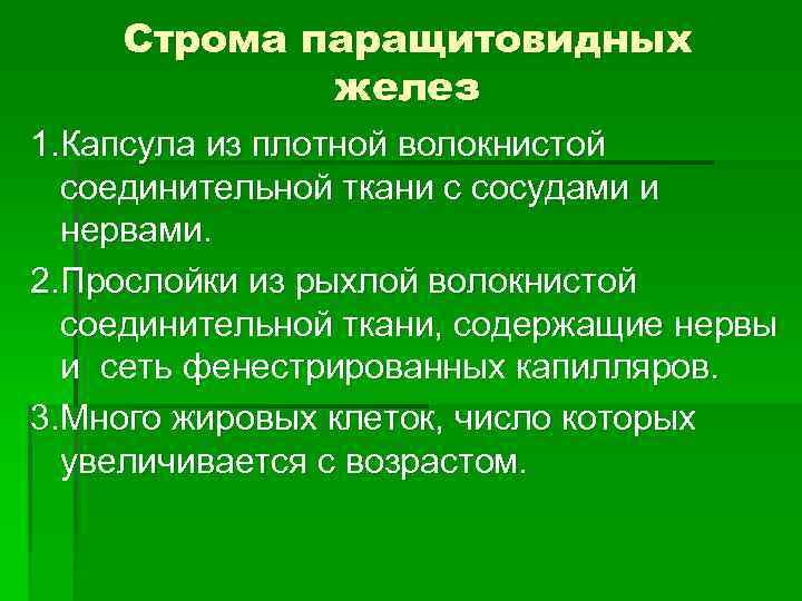 Строма паращитовидных желез 1. Капсула из плотной волокнистой соединительной ткани с сосудами и нервами.