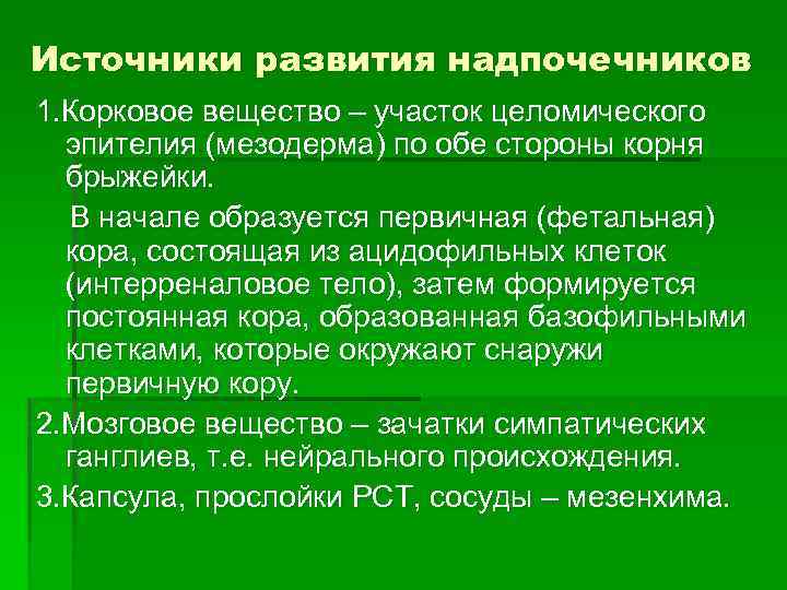Источники развития надпочечников 1. Корковое вещество – участок целомического эпителия (мезодерма) по обе стороны