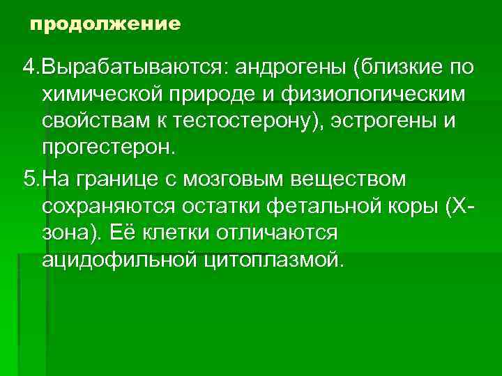 продолжение 4. Вырабатываются: андрогены (близкие по химической природе и физиологическим свойствам к тестостерону), эстрогены