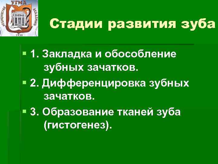 Стадии развития зуба § 1. Закладка и обособление зубных зачатков. § 2. Дифференцировка зубных