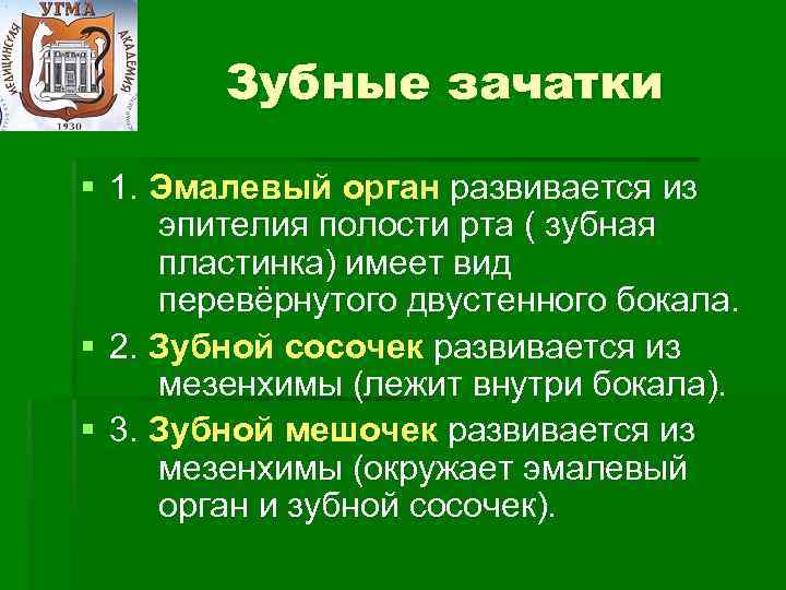 Зубные зачатки § 1. Эмалевый орган развивается из эпителия полости рта ( зубная пластинка)