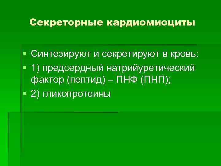 Секреторные кардиомиоциты § Синтезируют и секретируют в кровь: § 1) предсердный натрийуретический фактор (пептид)