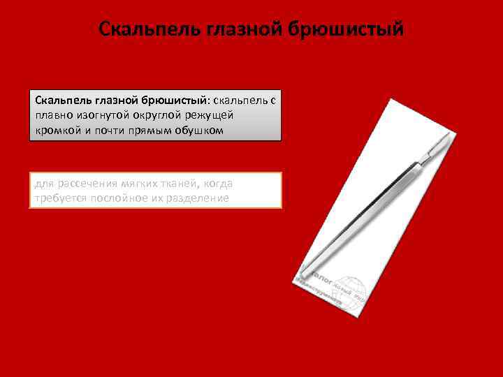 Скальпель глазной брюшистый: скальпель с плавно изогнутой округлой режущей кромкой и почти прямым обушком